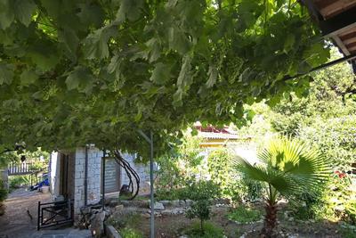 Villa Derin Çukurbag