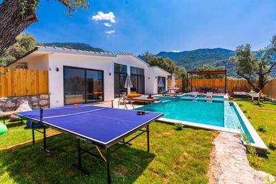 Villa Ibiza
