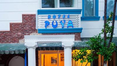 Hotel Puya