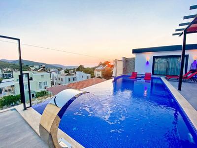 Villa Belly