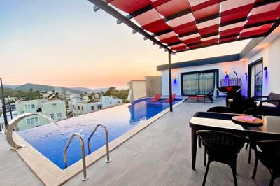 Villa Belly