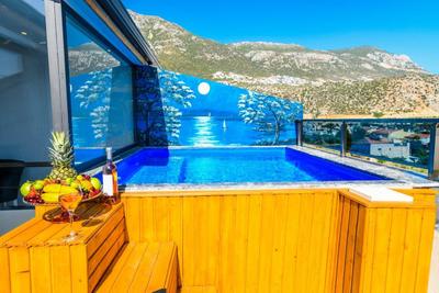 Villa Seyir 1