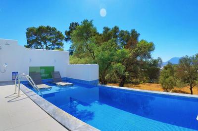 Villa Blueberry