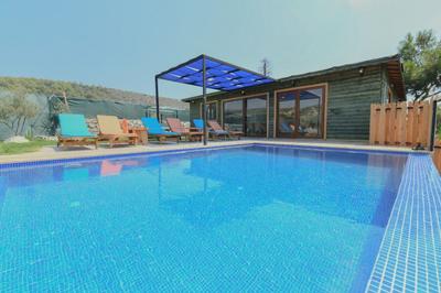 Villa Ağaç 3