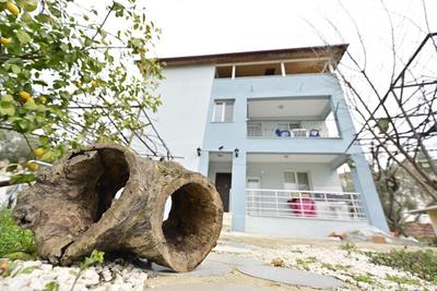 Kırlangıç Home