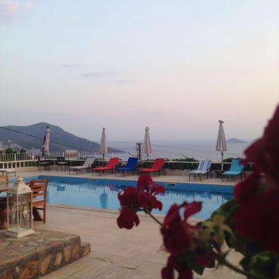 Lavenders Lodge