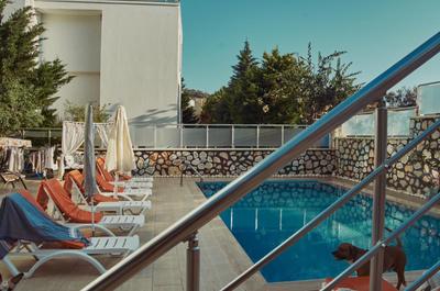 Villa Nordic Dream Butik Otel