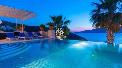 Villa Palm