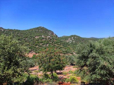 Villa Şeker