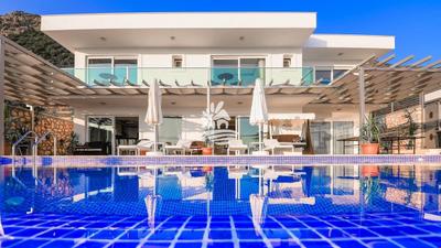 Villa Tiger