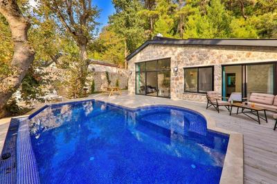 Villa Kozmos 1