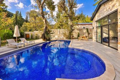 Villa Kozmos 1