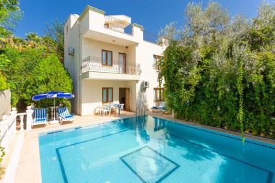 Villa Tios