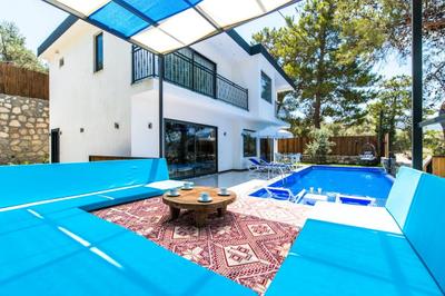 Villa Cely