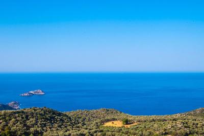 Villa İzo