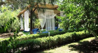 Blue & White Hotel
