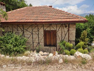 Castle Cave Bungalow Butik Otel