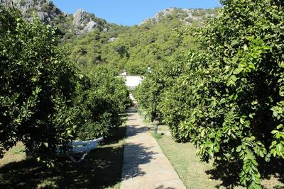 Merhaba Hotel Bungalows Çirali
