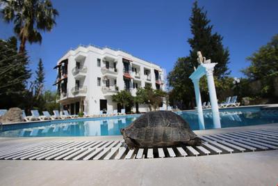 Green Valley Boutique Hotel