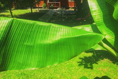 Lagina Boutique Hotel