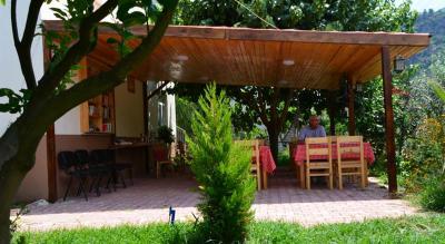Lemon Garden Lodge