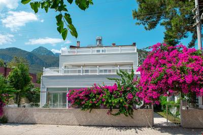 Olya Hotel