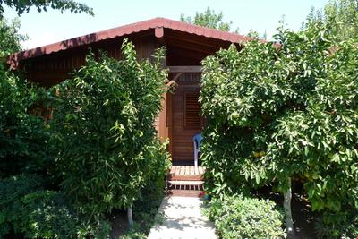 Rüya Pansiyon