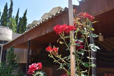 Terko Home