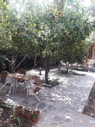 Villa Halil Bungalow