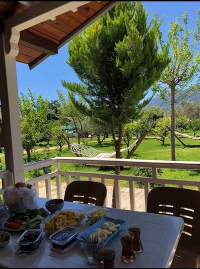 Şah Apart