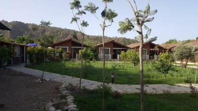 Şah Apart
