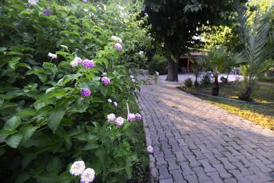 Yıldız Pension Bungalows