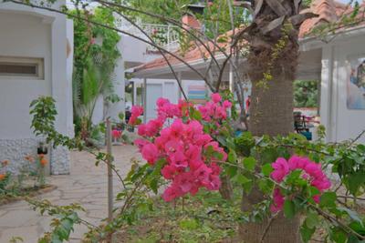 Adrasan Otel