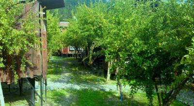 Don Kişot Pansiyon