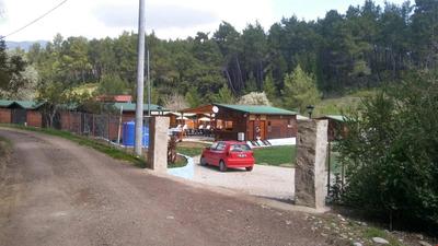 Anka Kuşu (Feniks) Ağaç Evleri