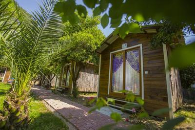 Likya Evleri Olympos