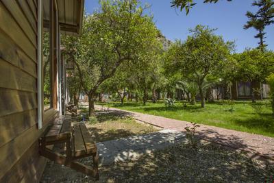 Likya Evleri Olympos