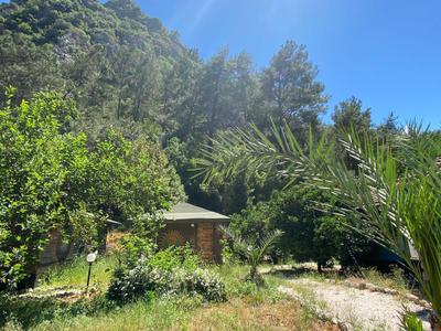 Maya Olympos (Adult Only +12)