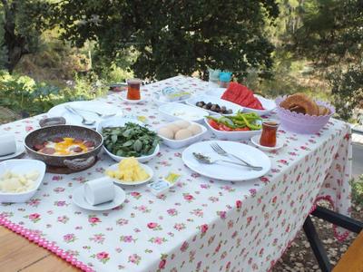Olimpos Altun Pansiyon