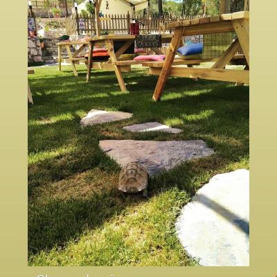 Olympos Hypnos Glamping