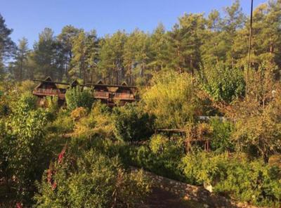Olympos Otantik Pansiyon