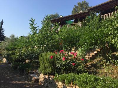 Olympos Otantik Pansiyon