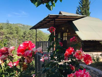 Olympos Otantik Pansiyon