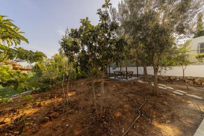 Penjing | Muratpaşa