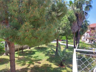 Palmiye Tatil Sitesi