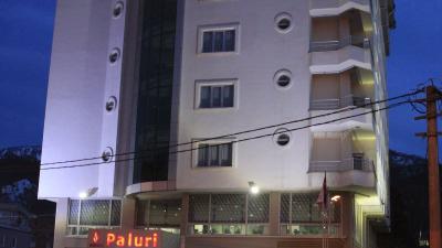 Paluri Otel