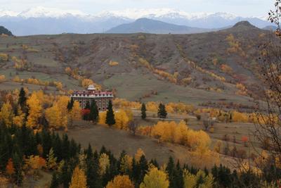 Black Forest Hotel