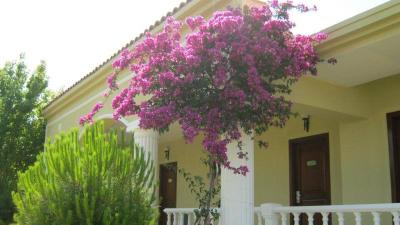 Palm Wings Beach Resort Didim