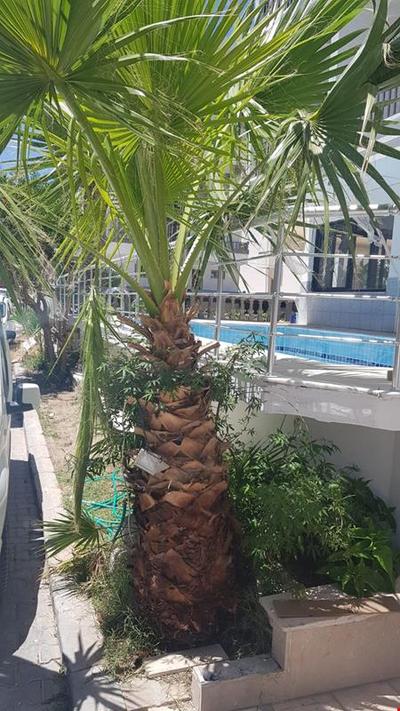 Tuana Otel Didim