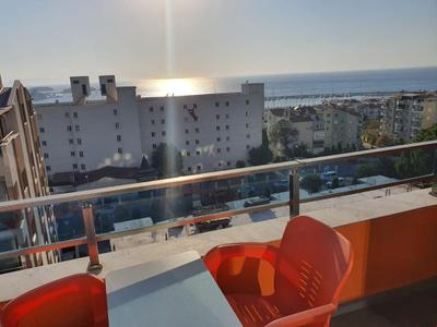 Dolly Apartments